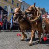 Hasičké slavnosti Litomeřice 2017